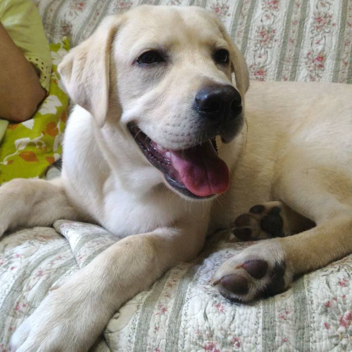 19a36a97 1a67 4e94 859b 574f79b1e673