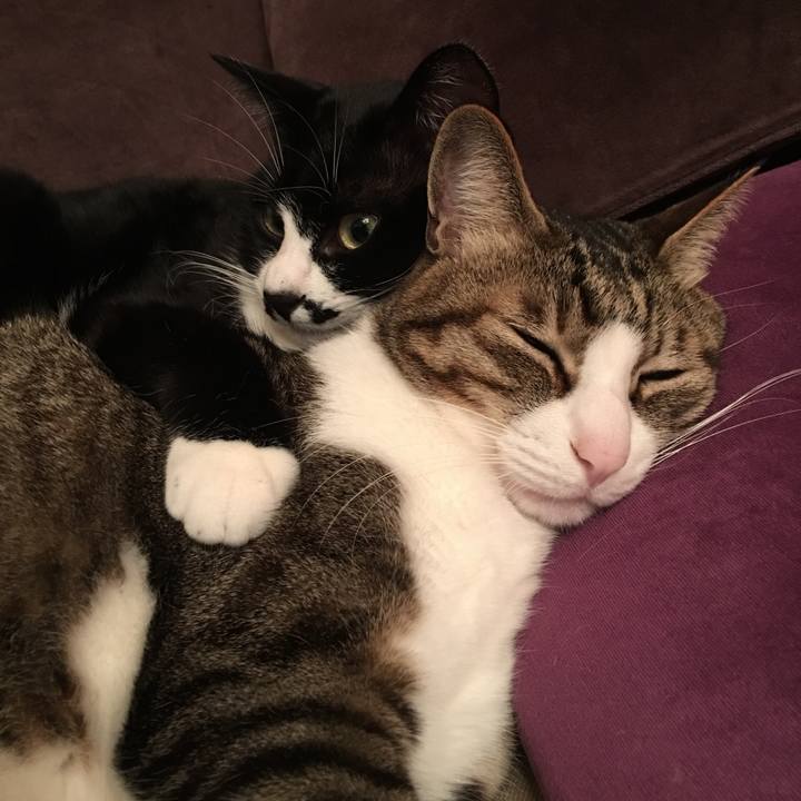 19a57305 5b77 4db3 944b 4ed9d946d833