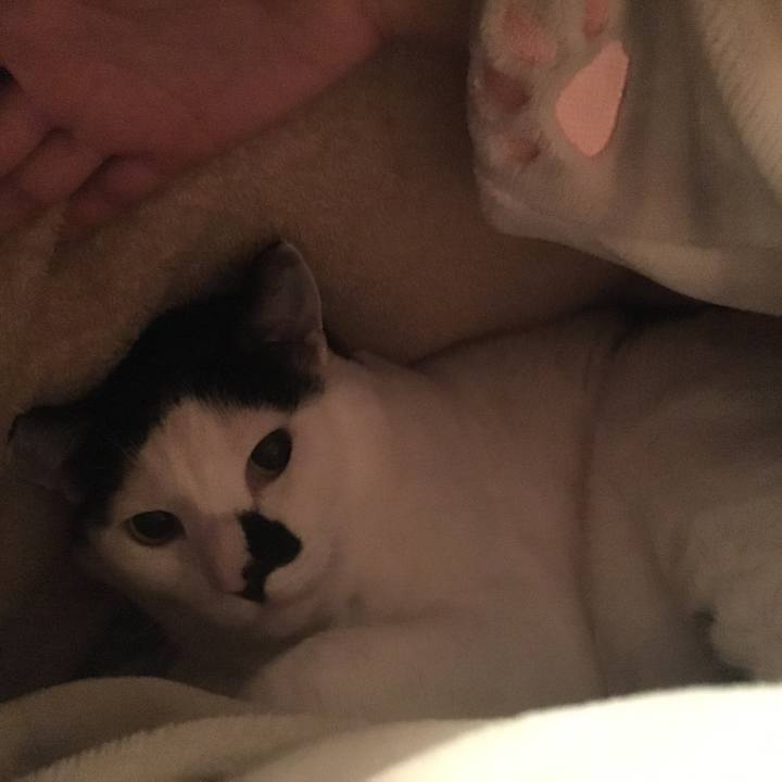 19a64c14 f375 483b 858c 81347767c25b