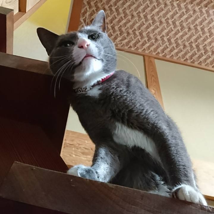 19a654e7 7dbe 499f b852 67bd2d8dae51