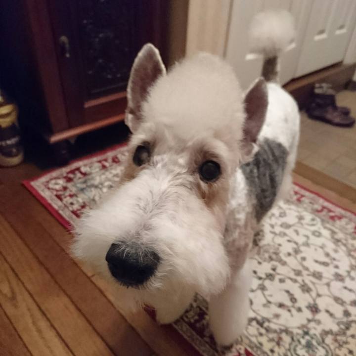 19a66fad 8a78 40c9 94a2 2c02df9d70a2