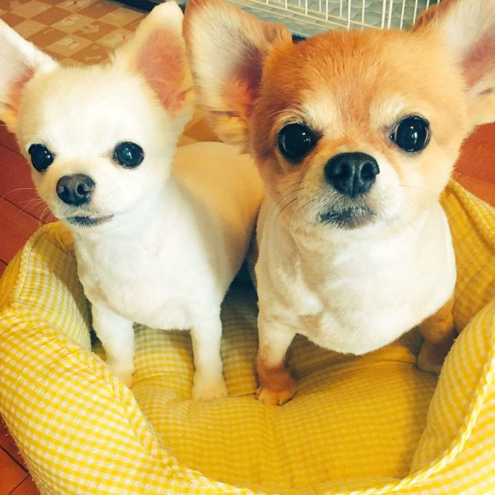 19a6b3d9 99f2 444b 8a1b 19453a684164