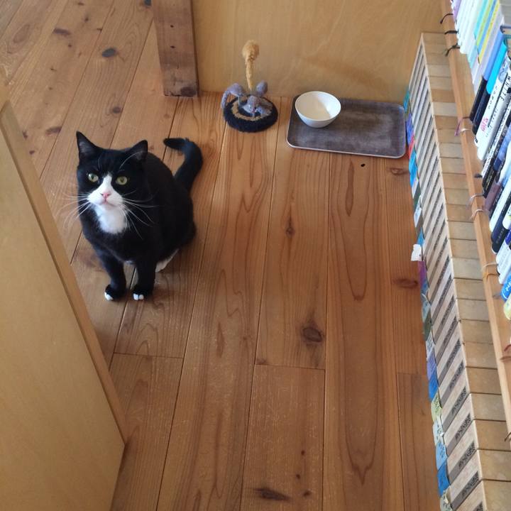 19a71de5 423a 494f bdab a189b2df1117