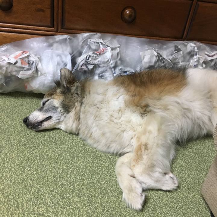 19a72dda c91d 43cd b716 e3b0ad7a119e