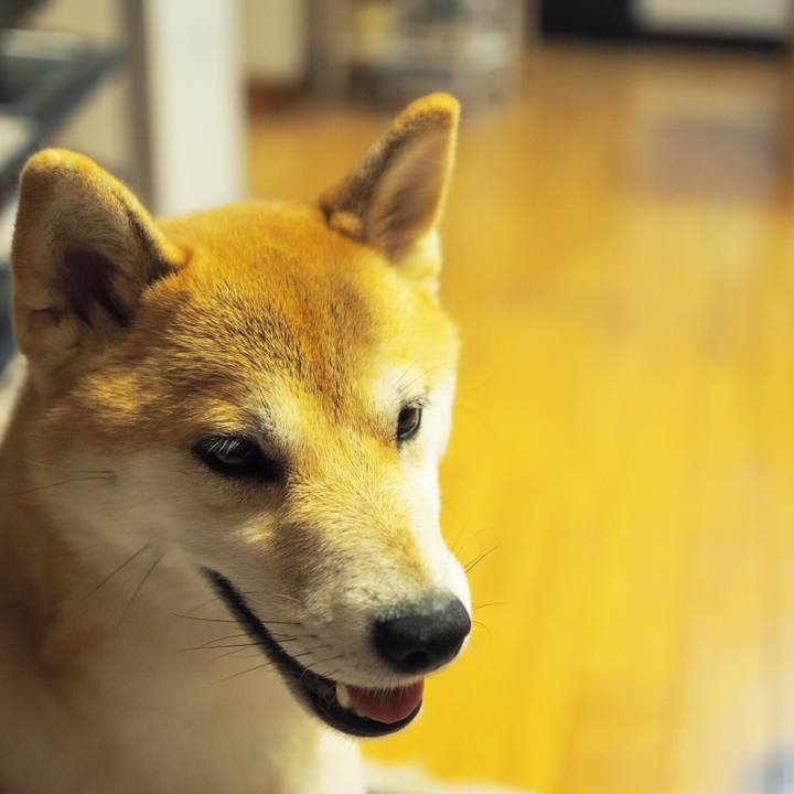 19a75b32 8124 4187 8afa 4e3f4d48206e