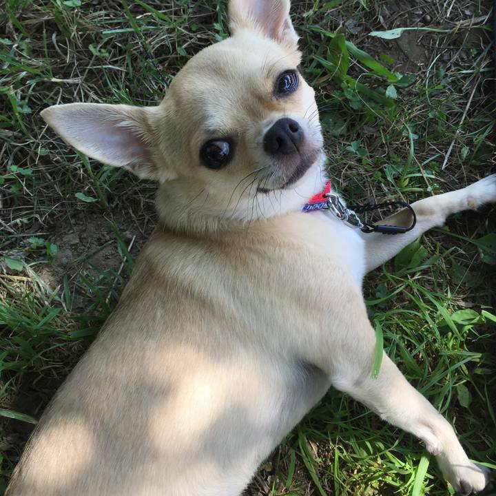 19a806c4 db1e 4c38 9d53 c8fc4ed7744d