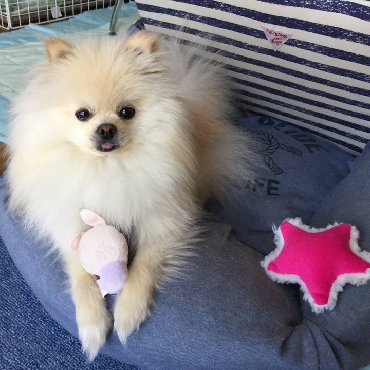 19a8653d d190 480e b903 d19bca09b533