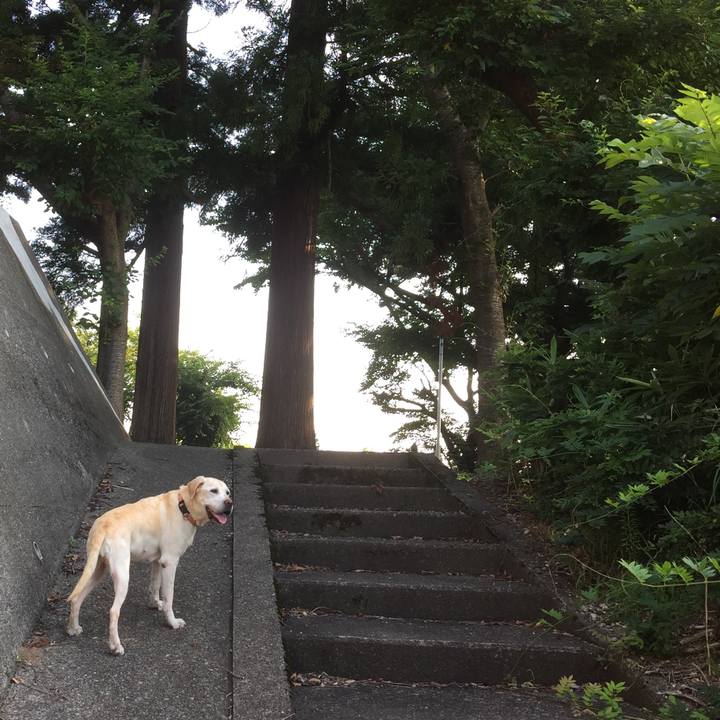 19a8f8f2 79c6 44fc 9f09 afe6214f92ee