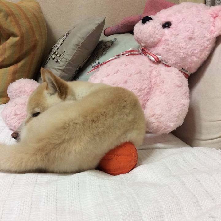 19a94f9b 624c 42e0 9f7d ed845a23088f