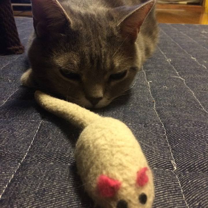 19aa997e 2da7 4ffe a44b 931206fdbc77