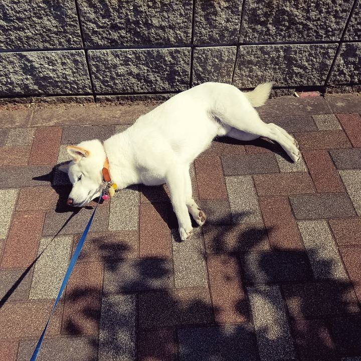 19aaa5fa d238 435d 8116 6fc18cdc97e1