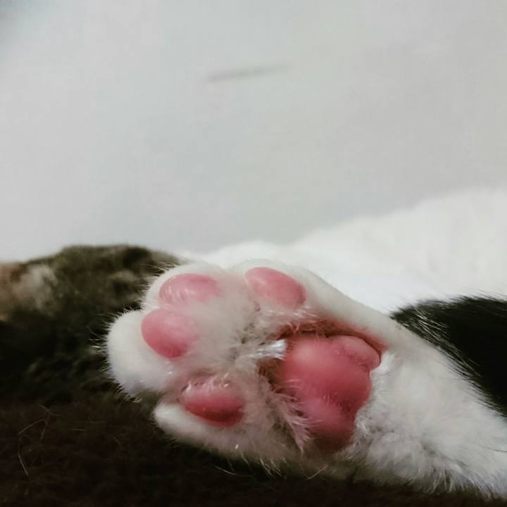 19ac1ace b8fa 4e00 9c69 6b92a83bf950