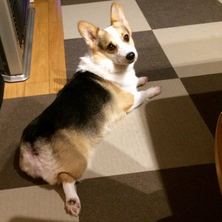 19ac8dd2 ea88 4d7c 864c fce82994c301