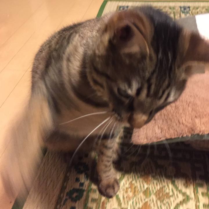 19acb21a 7e64 41b7 a189 ae71b139c8c1