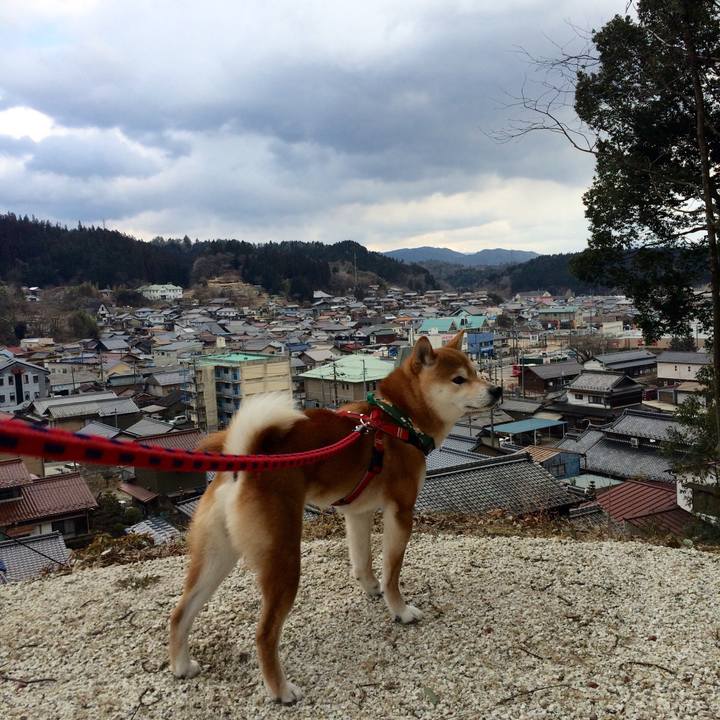 19ae6643 f771 414d ad8b a1bcbd50e37d