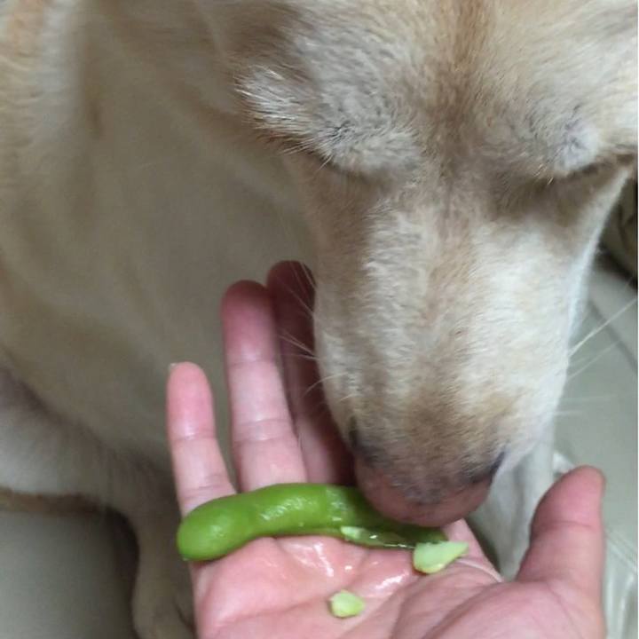 19aef7ab 9937 460b 9823 1a9d62f7dce7