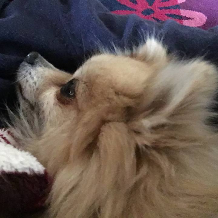 19af5a54 5e23 4e35 a771 0cdf1ea2898b