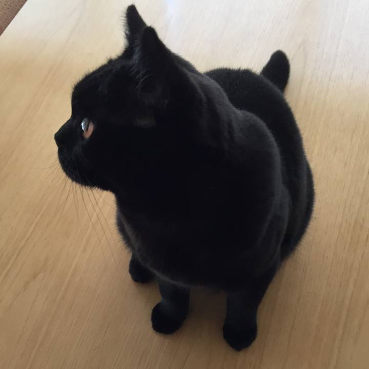 19af6290 ec78 403b a71c caa7e8695871