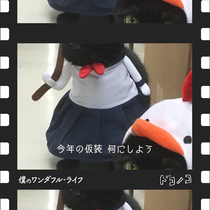 19af7a5e ce28 4263 8032 a2f7c152708c