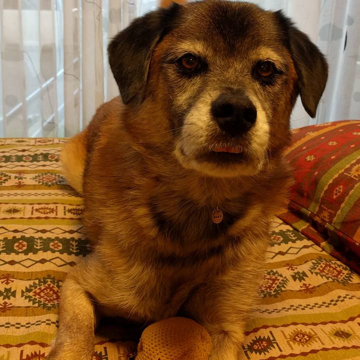 19af8d2b 332f 47b8 b3b3 d28d2d6b0d51