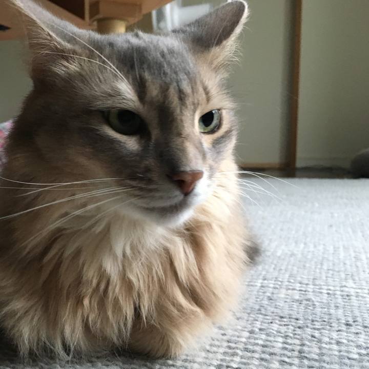 19b19cd7 50d6 43c8 a616 1dd5f5127345