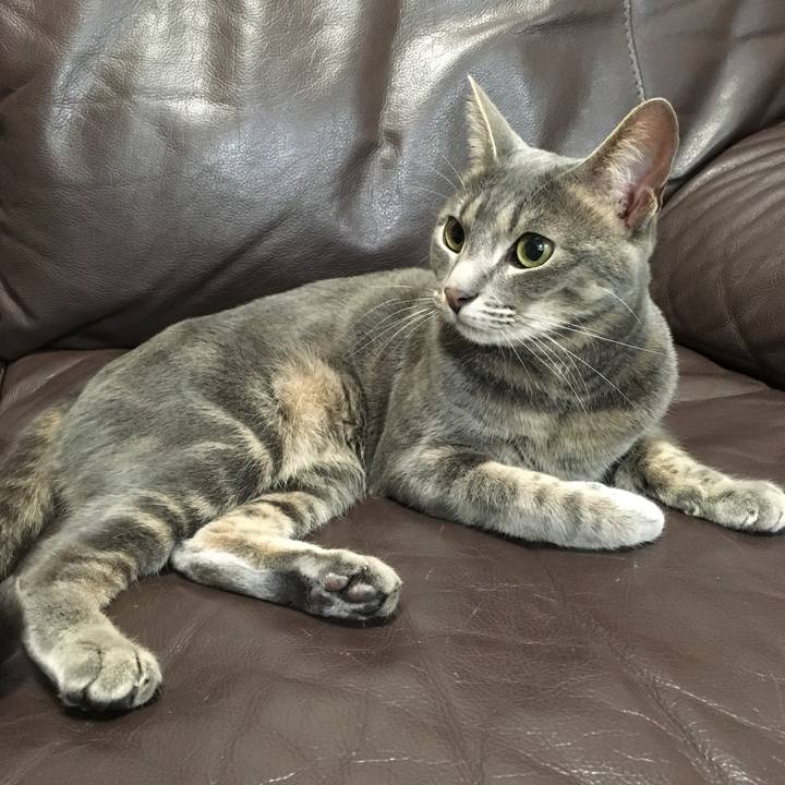 19b1bcab fdfa 4a00 85ed 857f0a595322