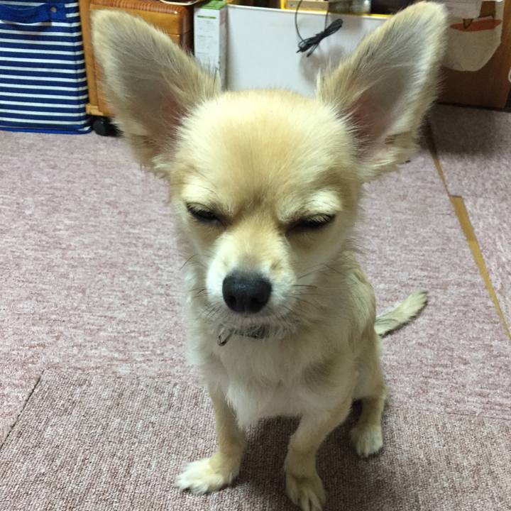 19b1bce2 cc47 488e bffc 1430eef89cd5