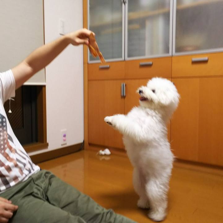 19b1d6d1 da7e 47f1 bf24 13f5aa62de19