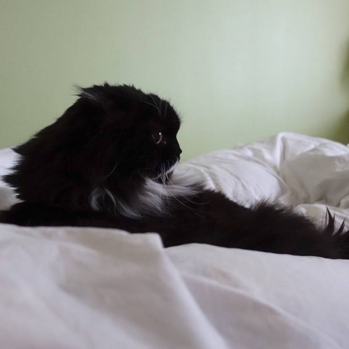 19b287c7 e75b 4b1e bf3a 7b6f7a2b5840