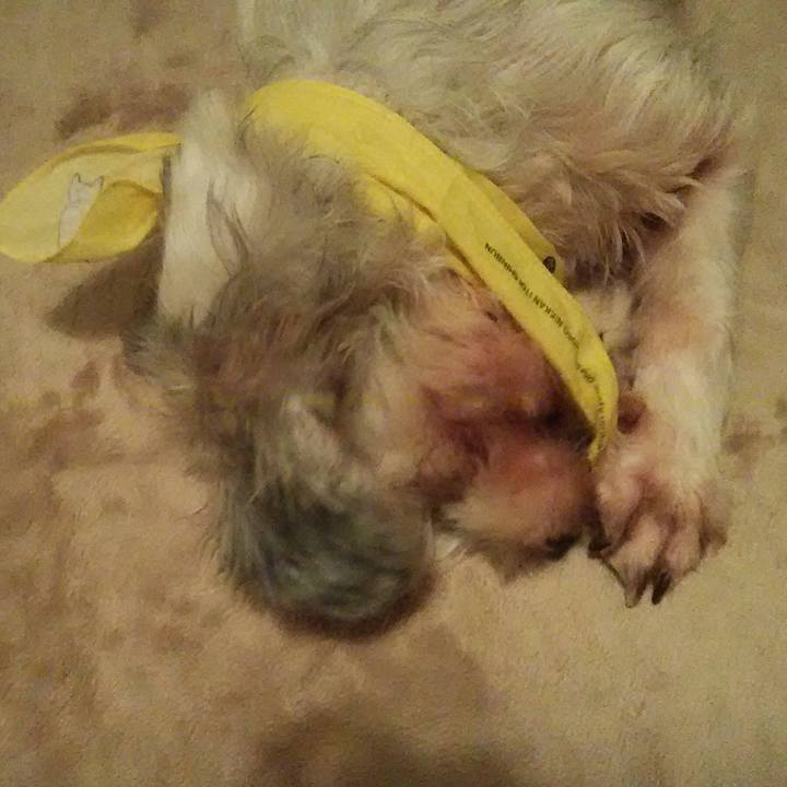 19b2be16 a284 409c b54f db37f0a22b38