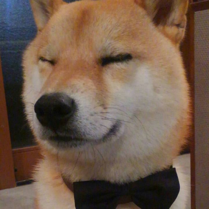 19b2c049 7d03 4fe3 bdd3 b48081f974fe