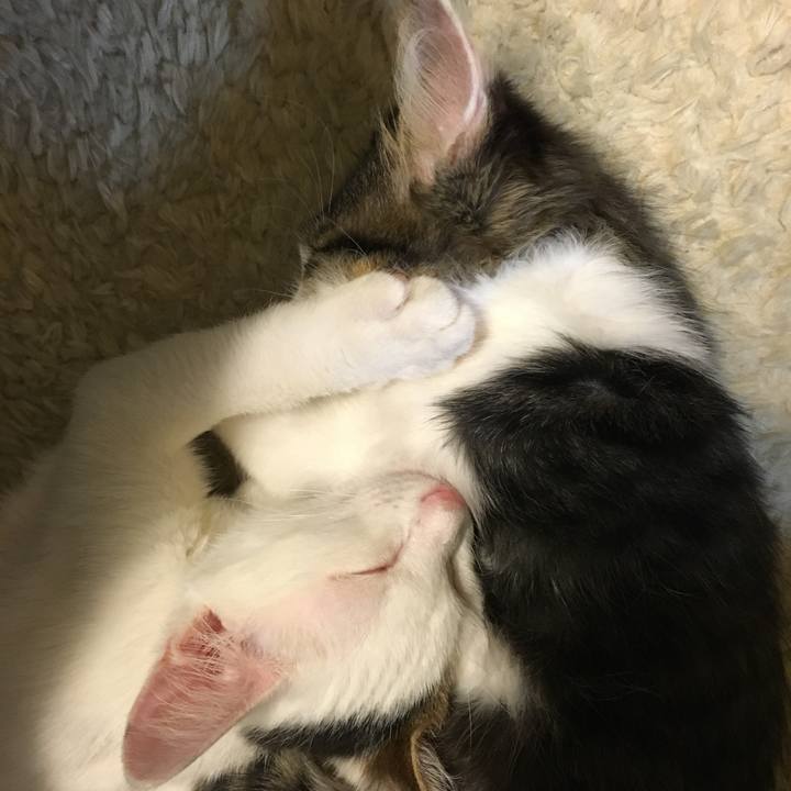 19b3311f 6fe8 4abf a7b6 f32db47988db