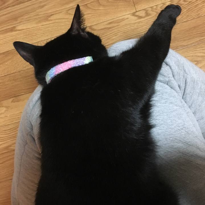 19b34c59 dd86 446d b87b 23fc76931117