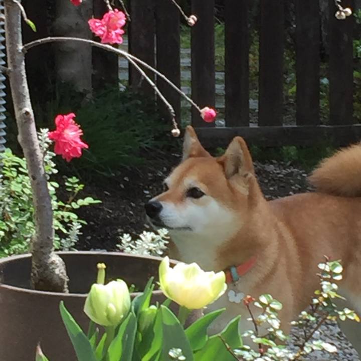 19b35ffd 69ee 4526 a003 bf637217c067