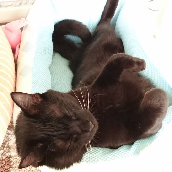 19b424c5 db50 47f0 8465 b8f9f4ee87a8