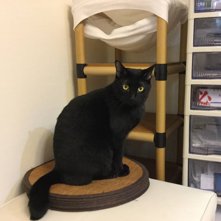 19b47e55 7bcd 47f6 9574 d2e15becdf1c