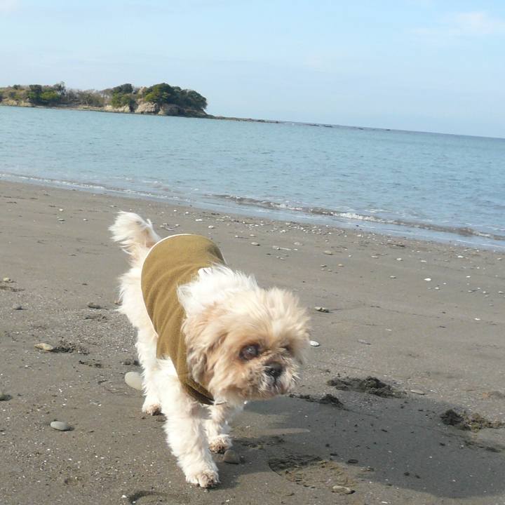 19b48fc1 95c1 4ccb 88e7 dd6160d1783c