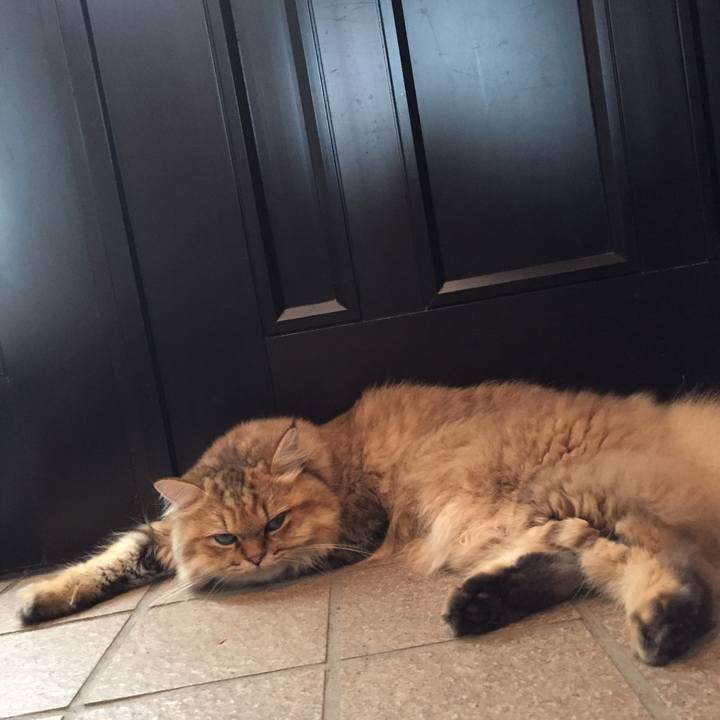 19b4f883 4157 4930 8eab 9fd9f8a9a047