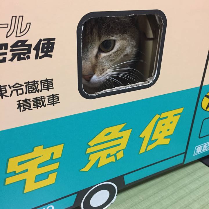 19b5200c 1c7e 4121 9dc6 b26a2eef02cf