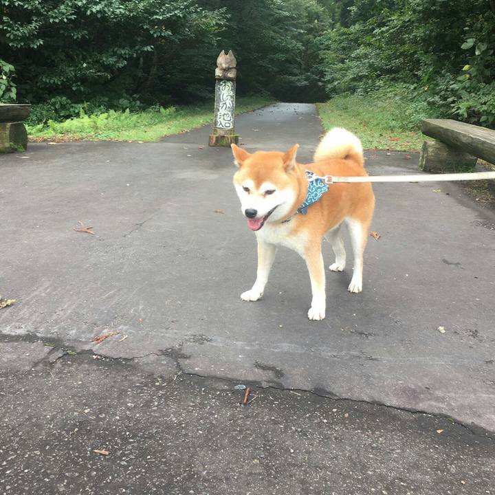 19b54c53 ee7b 4309 8711 4a05dbbe0110