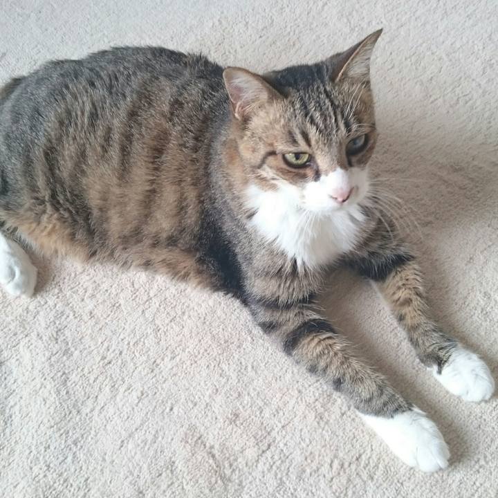 19b5565a ab29 44af bc0a 59b80d1dbb0e