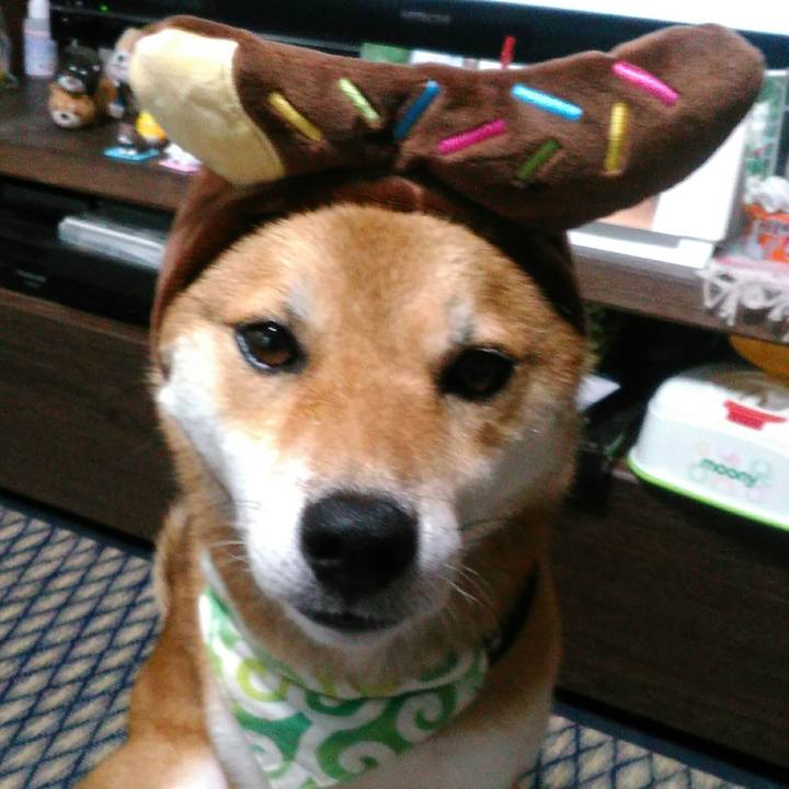 19b576f0 49d3 43d1 805b a497f82e4f31