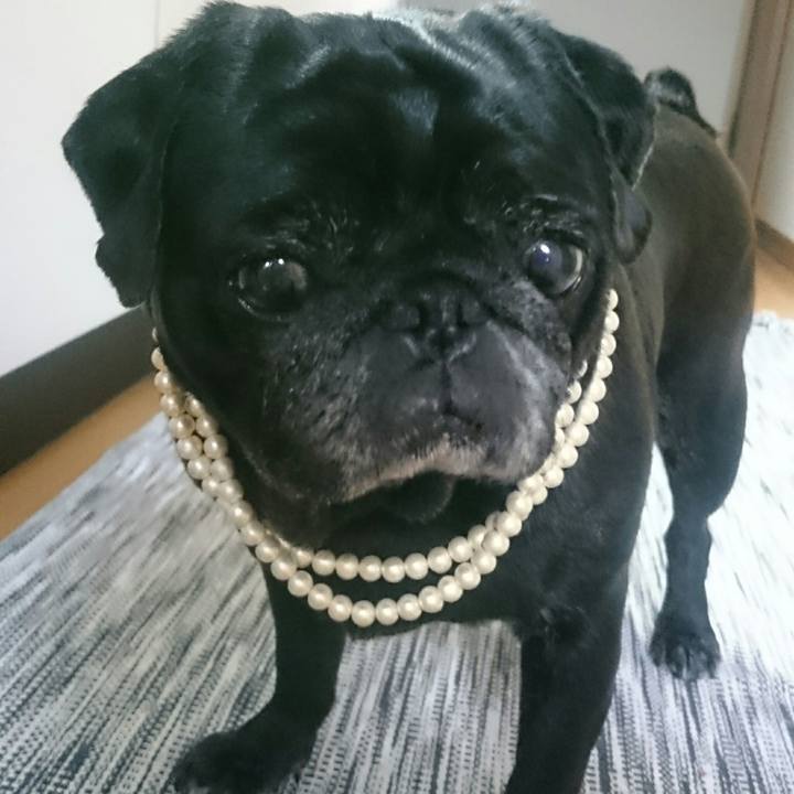 19b5814a 9c41 43d8 870b ed94dcd37412