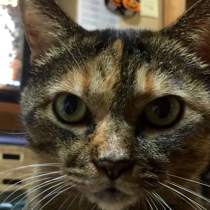 19b6fa6b db1d 4091 8e5e dac15ce8e56f