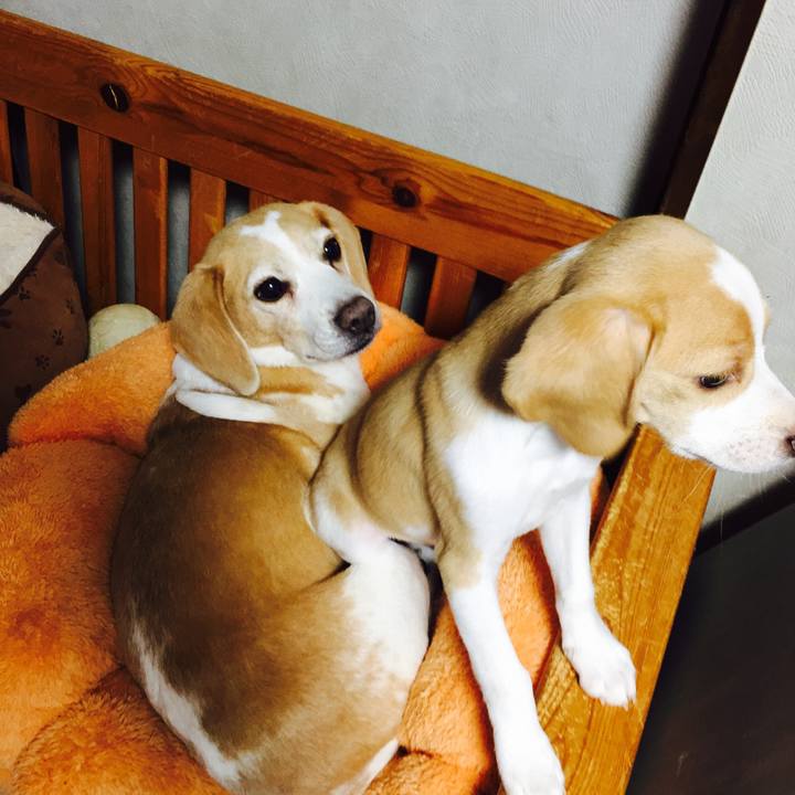 19b791c3 46e0 4078 aa82 9323fba334a4