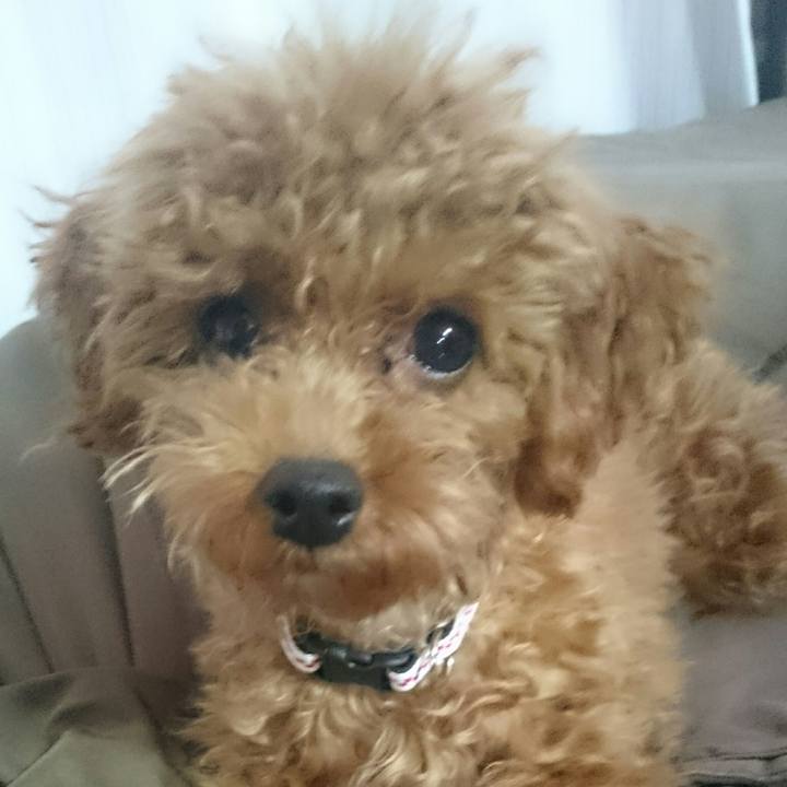 19b7ad2b 8b6b 49c9 a2c6 6f254f15612f