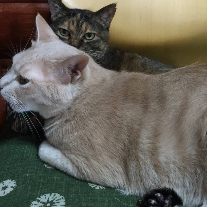 19b7bfd2 8ca0 426c 94a0 fbff87cc2cc1