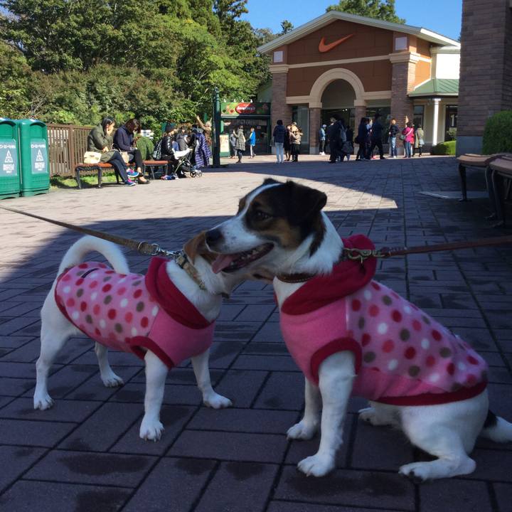 19b8693f 5cb3 437f 95ad 8611502640f9