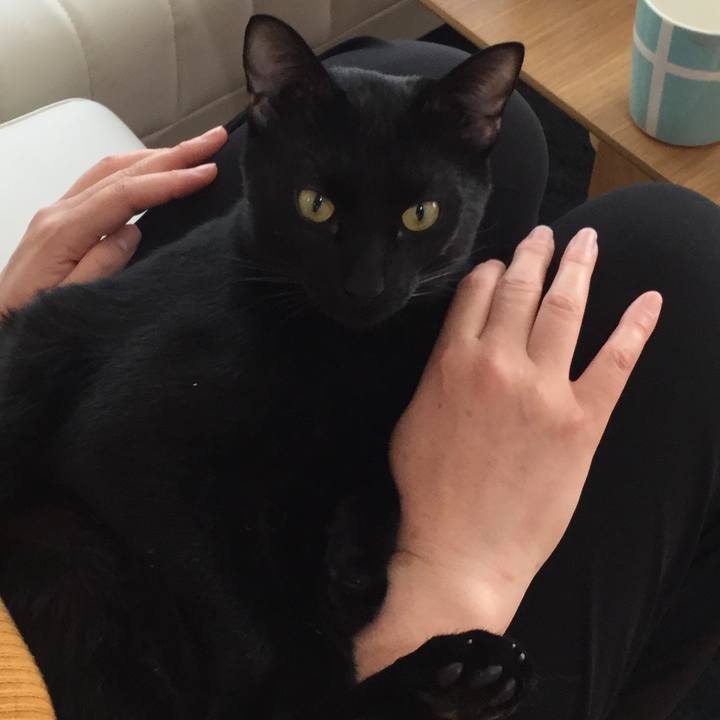 19b8d1a3 b117 46c6 b8b8 3525ea8ef44f