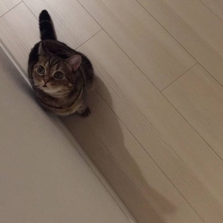 19b93505 caad 44cf 93bb 66bf3d313ce7